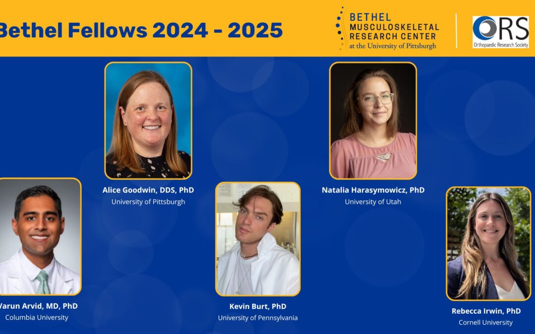 2024 Bethel Fellows Announced